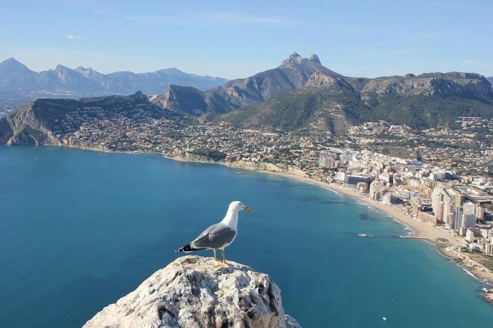 Apartamento Arenal 3 - Plusholidays Calpe Bagian luar foto